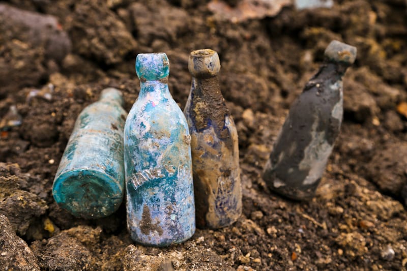 20160126-20160126-IMG_8882