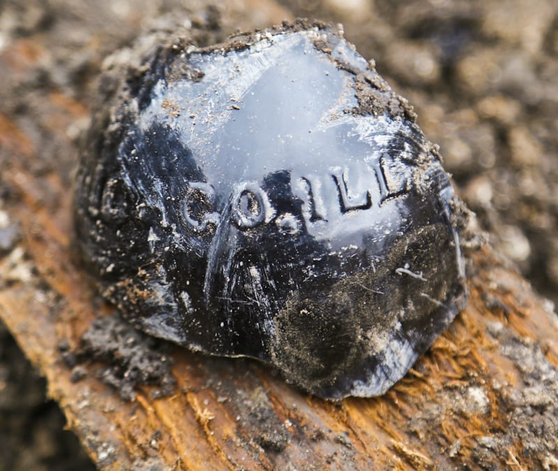 20160126-20160126-IMG_8884