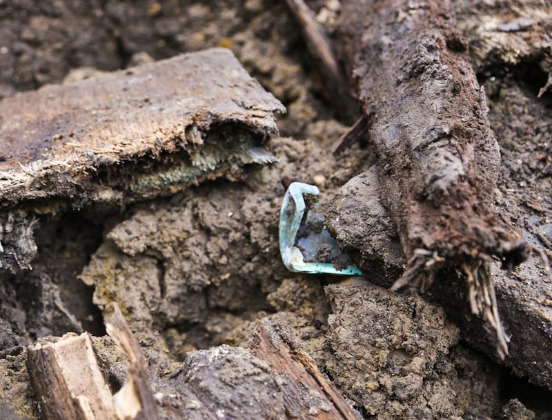 20160126-20160126-IMG_8885