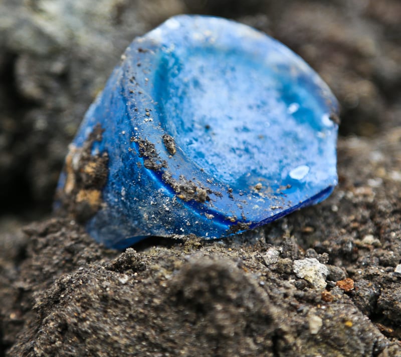 20160126-20160126-IMG_8886