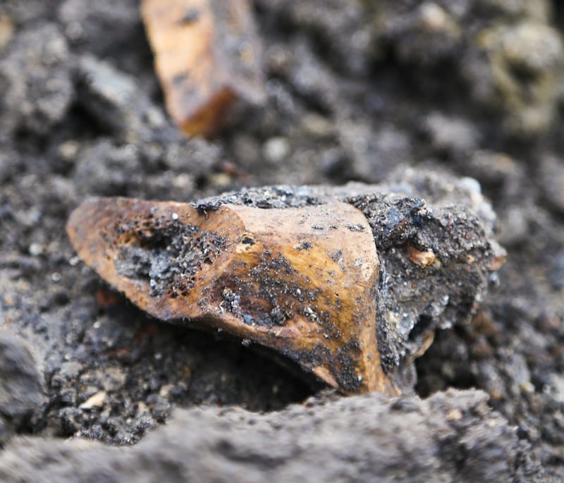 20160126-20160126-IMG_8888