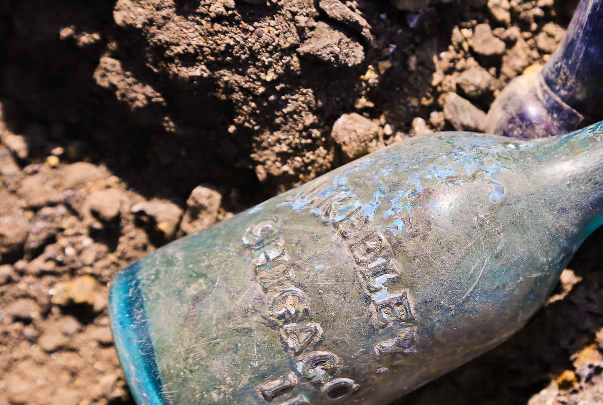 20151022-20151022-img_6664