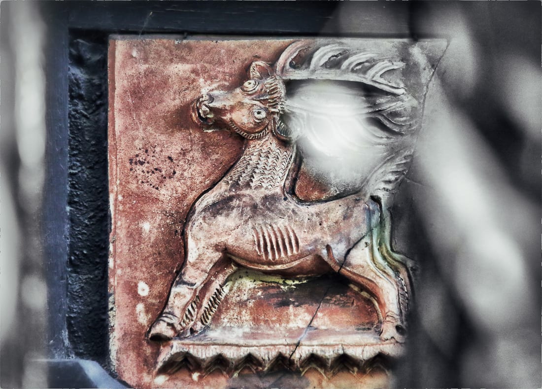 20160619-20160619-img_5705_snapseed