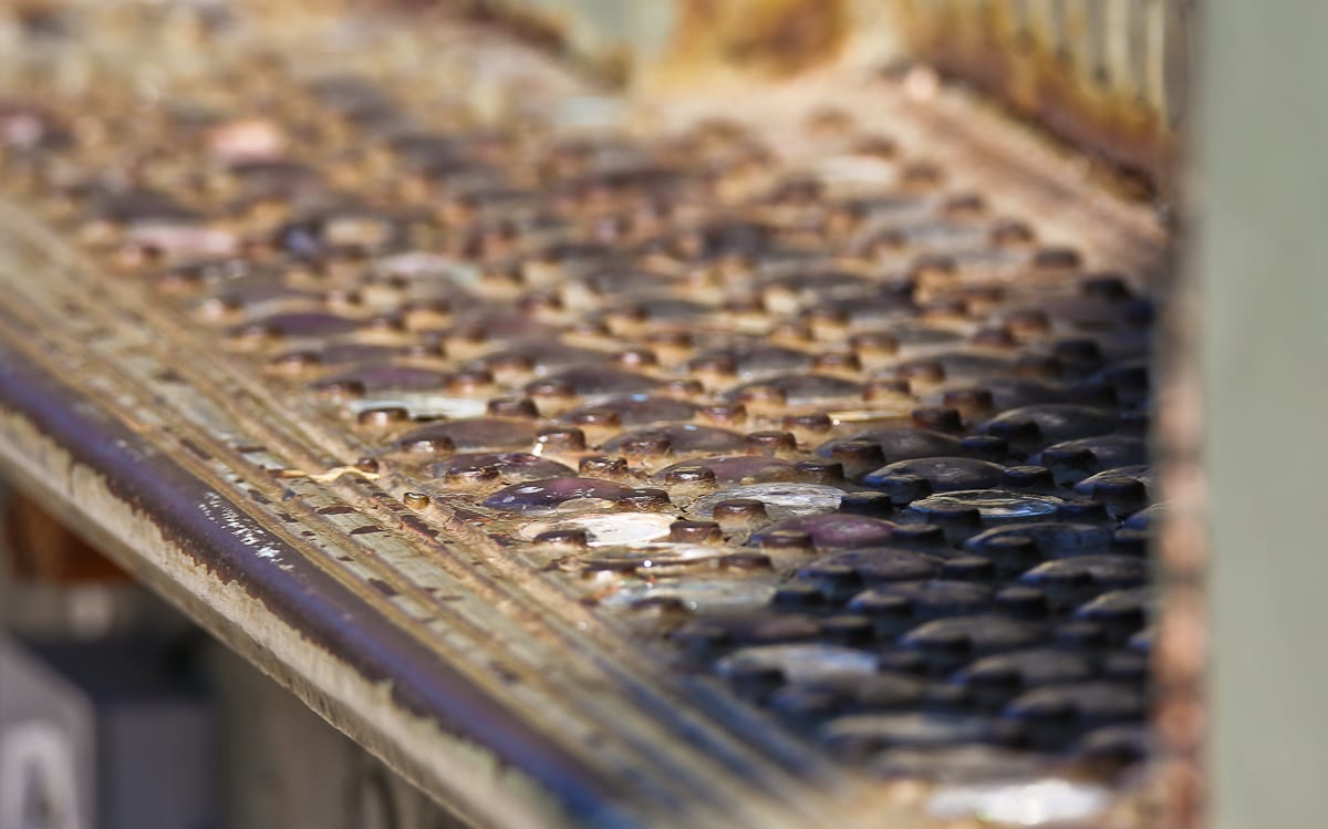 20160904-20160904-img_9902