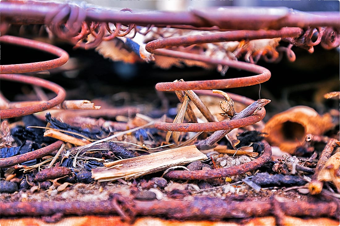 20161029-20161029-img_9857_snapseed