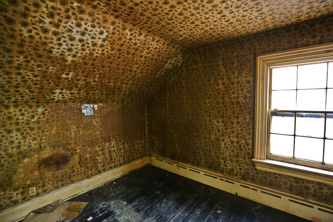 20161031-20161031-img_0088