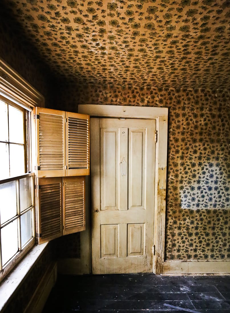 20161031-20161031-img_0093