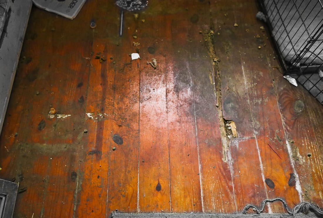 20161031-20161031-img_0099