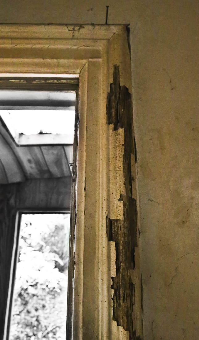 20161031-20161031-img_0101