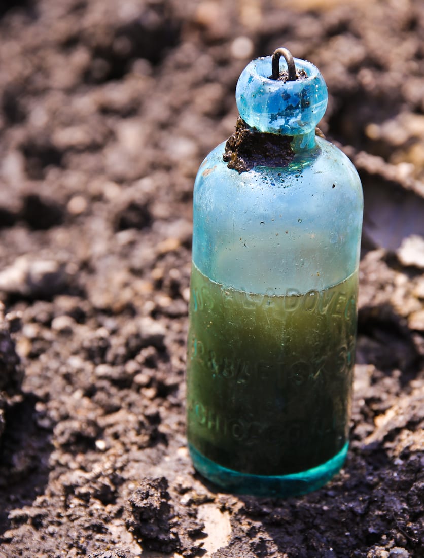 20160601-20160601-img_5017